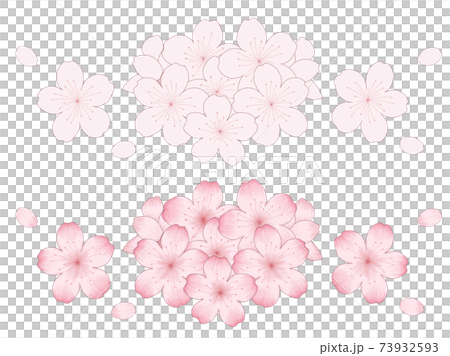 桜の花束のイラストセット デッサン風の線画とシンプルな手描きの線画のイラスト素材