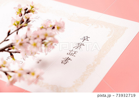 卒業証書と桜 卒業証書と桜 73932719