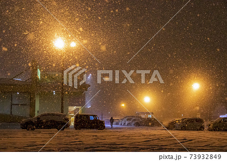 青森市　雪ボケと駐車場照明に輝く雪 73932849