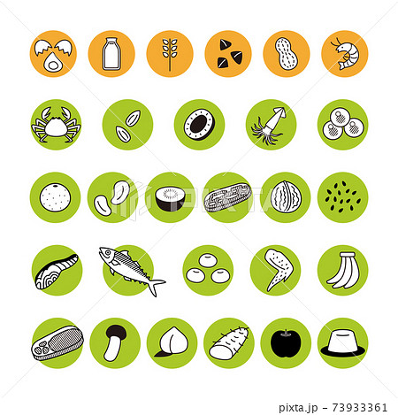 食物アレルギー　特定原材料等28品目　アイコン　セット 73933361