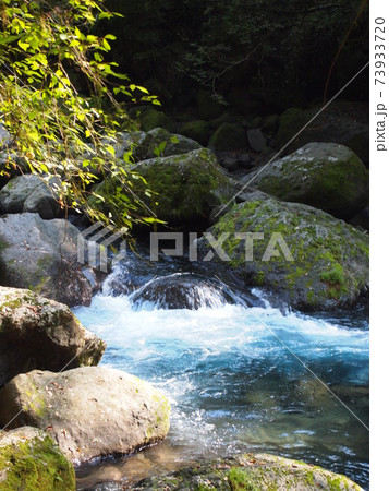 夏の終わりの菊池渓谷 73933720