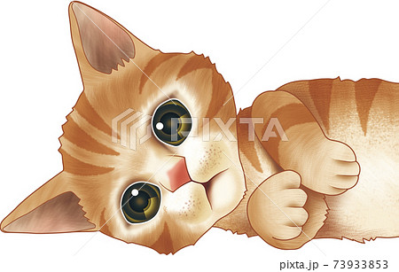 何かを見つめる茶トラ猫のイラスト素材