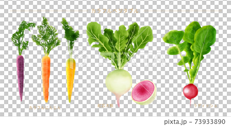 水彩イラスト カラフル野菜セット 73933890