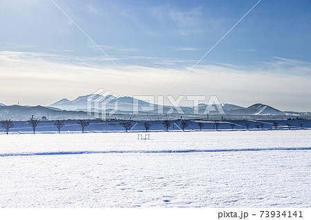青森市 雪原から望む冬の八甲田と雲谷スキー場 青森市 雪原から望む冬の八甲田と雲谷スキー場 73934141