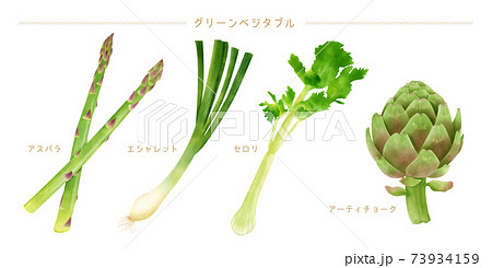 水彩イラスト グリーン野菜セットのイラスト素材