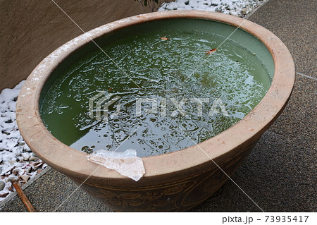 寒波襲来　零下6℃の朝　瓶に張った氷を割ってみた 73935417