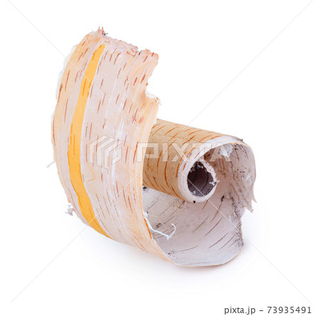 Birch bark on white background Birch bark on white background 73935491