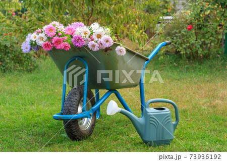 Summer garden with wheelbarrow and watering can. 73936192