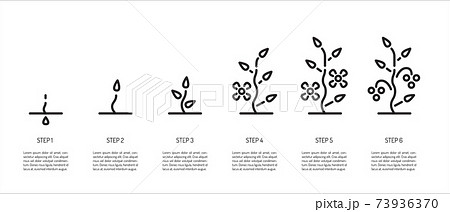 Stages Of Plant Growth From Seeds To Berriesのイラスト素材