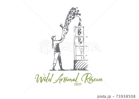 Animal, wild, giraffe, rescue, zoo concept. Hand drawn isolated vector. Animal, wild, giraffe, rescue, zoo concept. Hand drawn isolated vector. 73938508