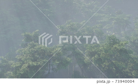 Fog covered jungle rainforest landscape Fog covered jungle rainforest landscape 73940004