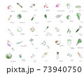 いろんな野菜の手書きイラスト 73940750