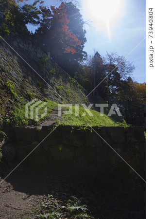 岐阜県恵那市の岩村城跡 73940804