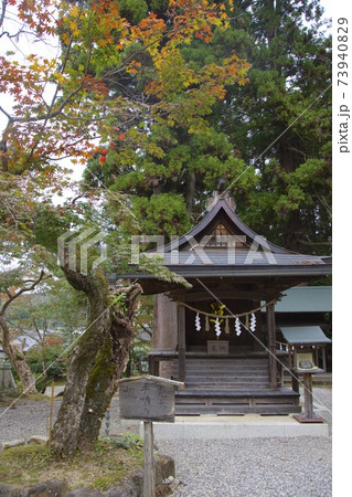 岐阜県恵那市明智町の八王子神社の柿本人麻呂社と明智光秀公手植えの楓 73940829