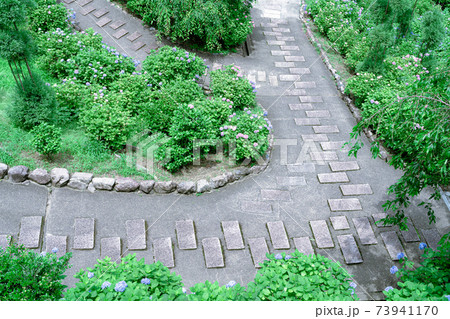 善峯寺の庭園 善峯寺の庭園 73941170