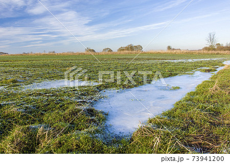 Frozen puddle on a green field with winter grain, clouds on the sky 73941200