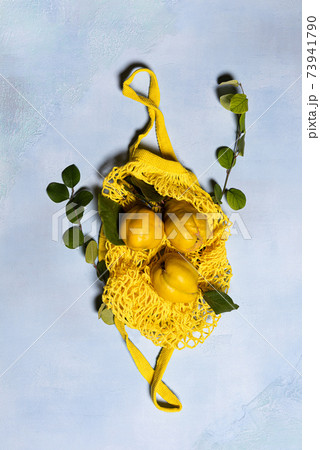 Ripe quince apples on mesh bag with tree branches Ripe quince apples on mesh bag with tree branches 73941790