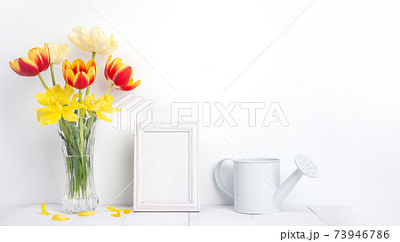 チューリップ ﾁｭｰﾘｯﾌﾟ 花 73946786