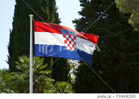 Waving flag of Croatia on summer trees background Waving flag of Croatia on summer trees background 73948260