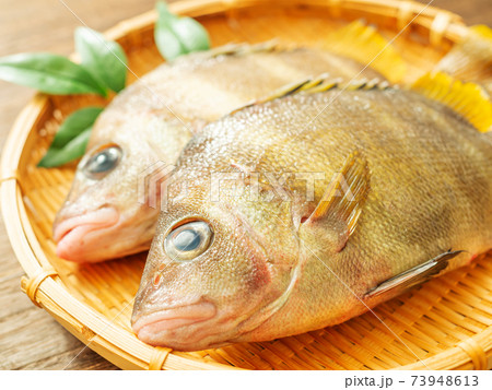 竹ざるに盛られたセトダイ 73948613