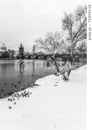 Charles Bridge and Vltava river in winter 73949116