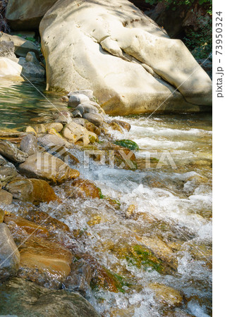 water in a mountain river. Mountain river stream flow. On a bright sunny day. vertical photo water in a mountain river. Mountain river stream flow. On a bright sunny day. vertical photo 73950324
