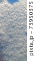 Photo Snow in the sun. Snowflakes are glistening. 73950375