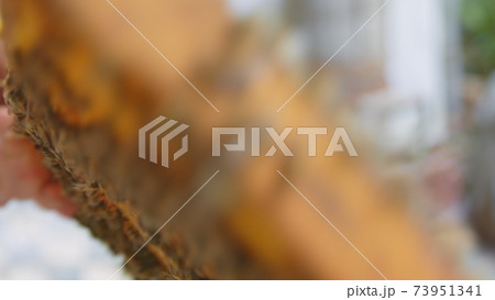 Honey bees on a hive cluster 73951341