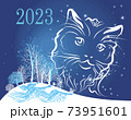 background postcard with the symbol of 2023 on the eastern calendar - cat 73951601