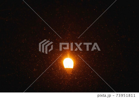 street lamp light at night with snow particles 73951811