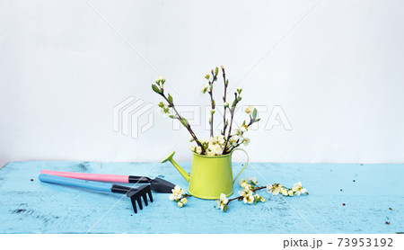 Garden tools in a vase with spring flowers on a light background. Garden tools in a vase with spring flowers on a light background. 73953192
