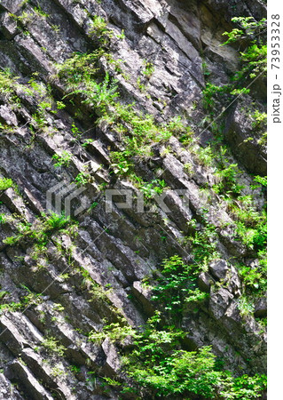 清津峡（新潟県） 73953328