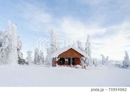 Mountain winter snow landscape. Wooden house and fir trees under the snow. 73954062