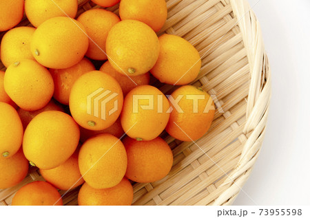 金柑 金柑 73955598