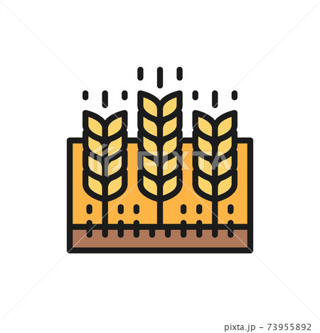 Wheat field, agricultural landscape, farmland flat color line icon. Wheat field, agricultural landscape, farmland flat color line icon. 73955892