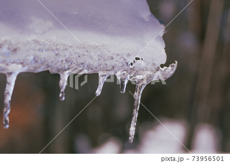 山頂の氷柱 73956501