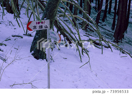 雪山登山中　別れ道に来る 73956533