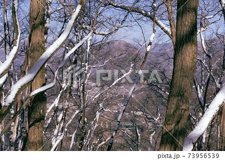 雪山中腹より冬を感じる 73956539