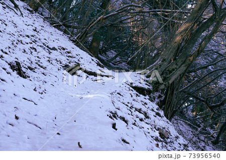急落斜面　雪山登山中 73956540