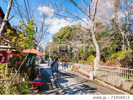 東京　深大寺　参道 73956613