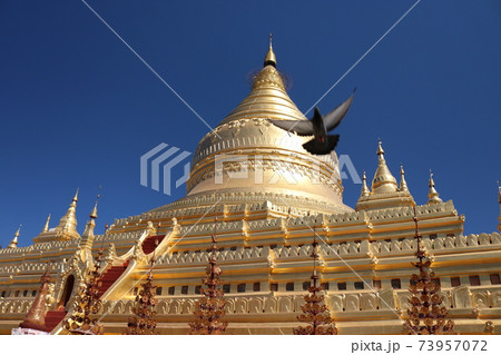 バガンのシュエズィーゴォン・パヤーにある黄金の仏塔 73957072