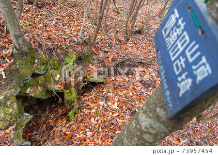 姫路の里山、西蒲田山頂（兵庫県姫路市広畑区西蒲田）※作品コメント欄に撮影位置 73957454