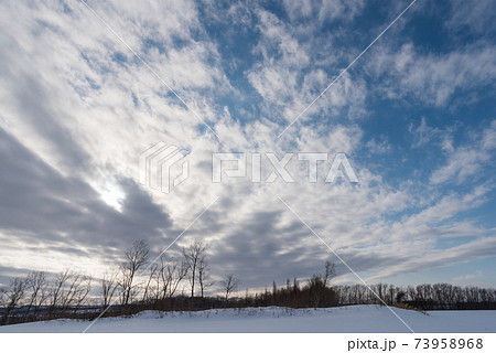 雪の大地 73958968