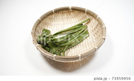 新鮮な青こごみ 山菜 新鮮な青こごみ 山菜 73959950