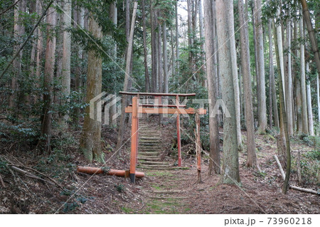 高槻の稲荷神社 高槻の稲荷神社 73960218