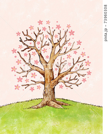 桜の木 背景ありのイラスト素材