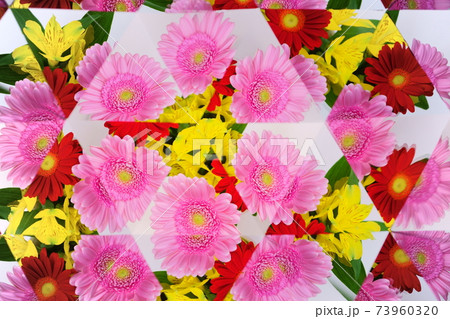 ピンクのガーベラ・生花・万華鏡10 73960320