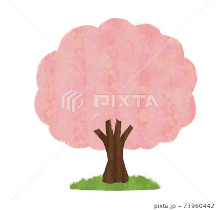 桜の木のイラスト 73960442