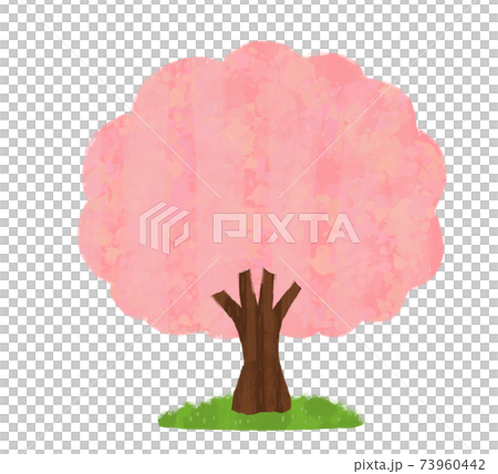 桜の木のイラスト 73960442