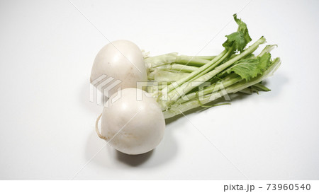 新鮮なカブ 新鮮なカブ 73960540